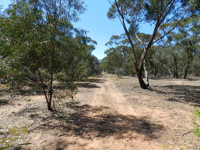 Approx 40 Ac Chalkleys Road, Goornong VIC 3557