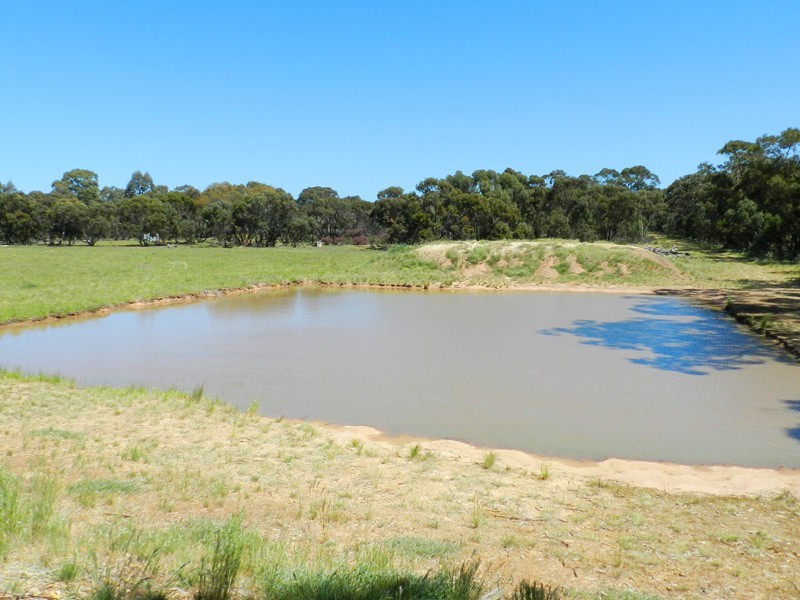 Approx 40 Ac Chalkleys Road, Goornong VIC 3557