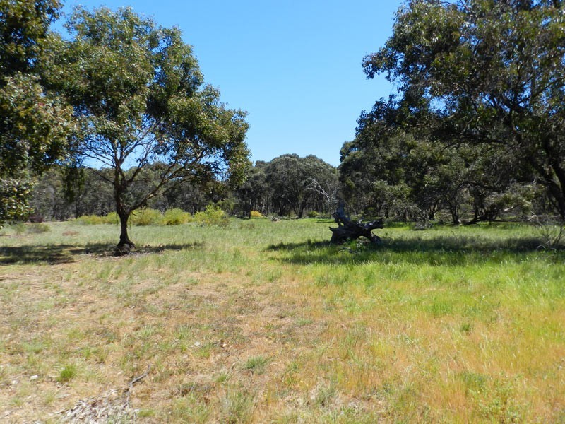 Approx 40 Ac Chalkleys Road, Goornong VIC 3557