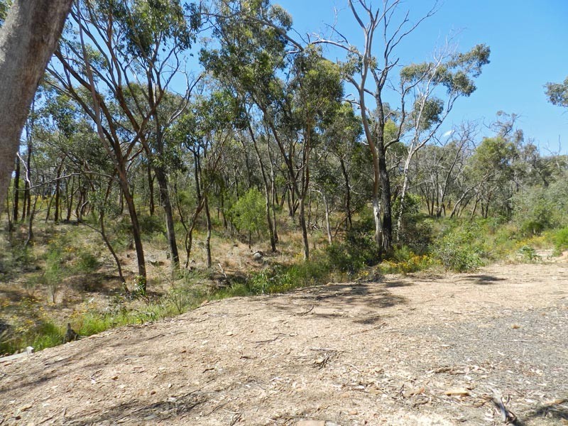 113 Pioneer Drive, Maiden Gully VIC 3551