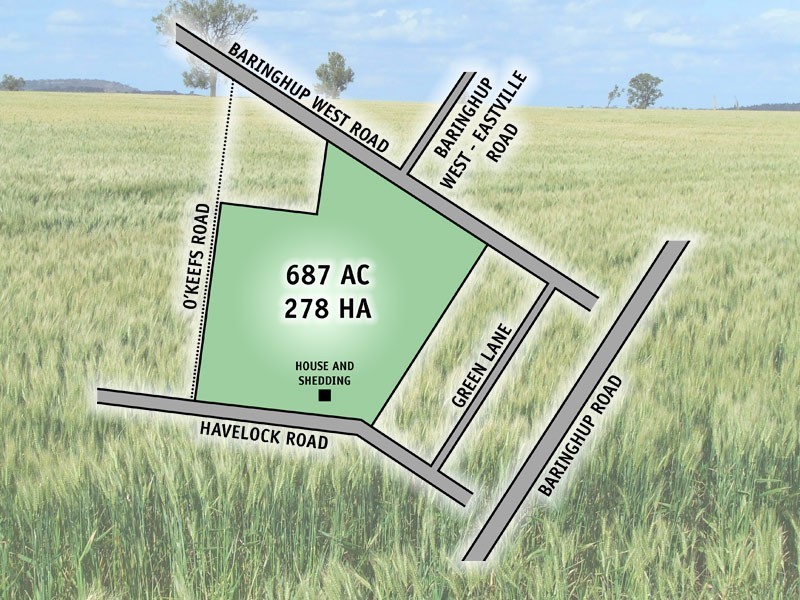 290 Havelock Road, Baringhup VIC 3463
