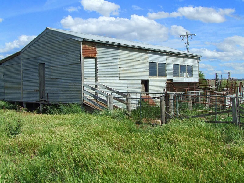 290 Havelock Road, Baringhup VIC 3463