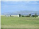 290 Havelock Road, Baringhup VIC 3463