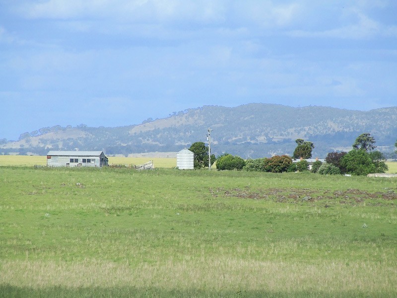290 Havelock Road, Baringhup VIC 3463