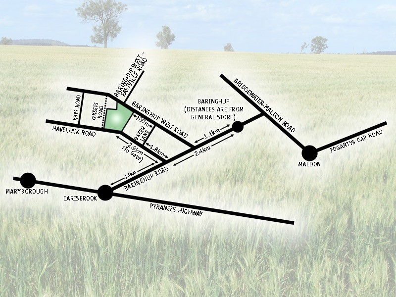 290 Havelock Road, Baringhup VIC 3463