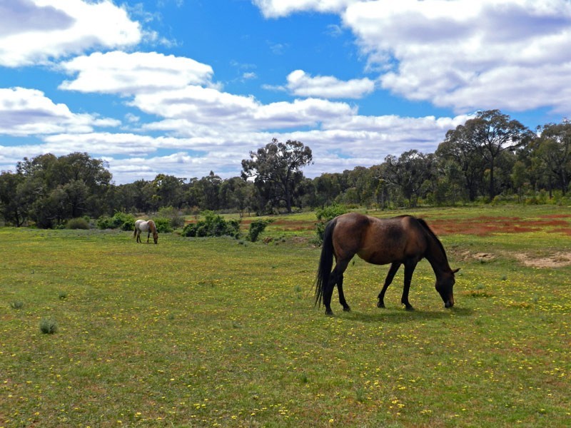 69A Honeychurch Lane, Mandurang South VIC 3551