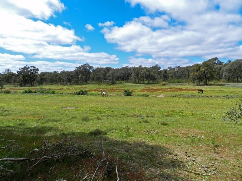 69A Honeychurch Lane, Mandurang South VIC 3551