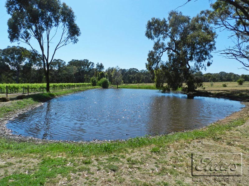 51 Andrews Road, Maiden Gully VIC 3551