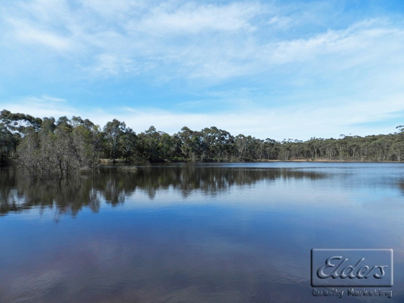 51 Andrews Road, Maiden Gully VIC 3551