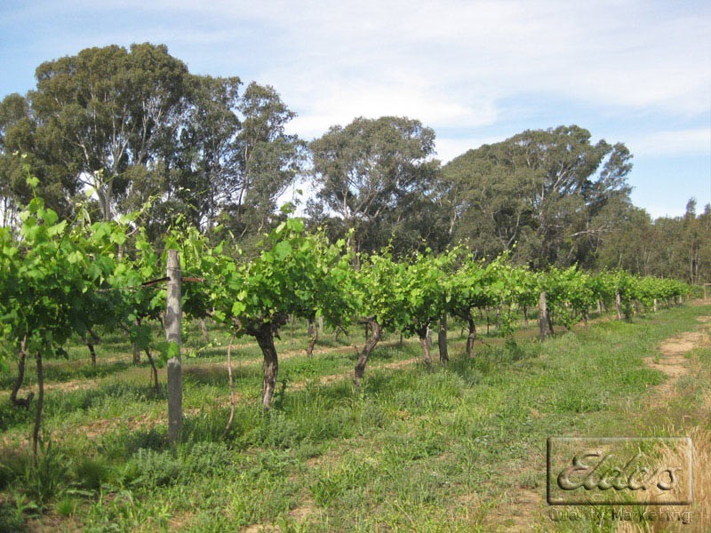 51 Andrews Road, Maiden Gully VIC 3551