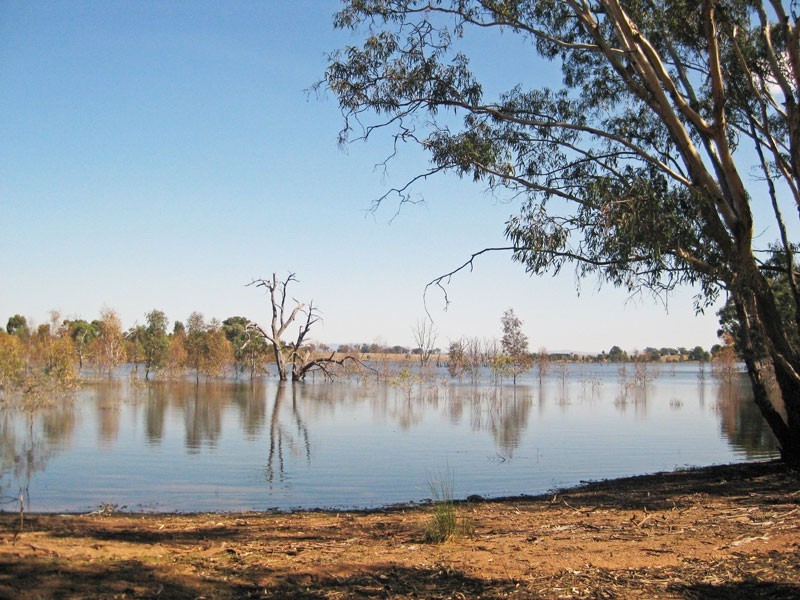 272  Courtney Lane, Knowsley VIC 3523