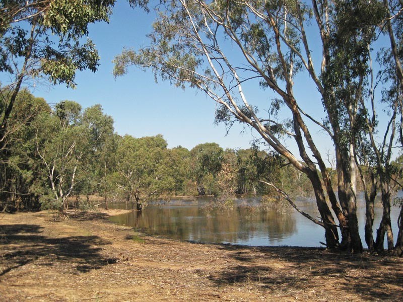 272  Courtney Lane, Knowsley VIC 3523