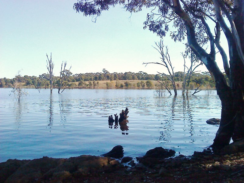 272  Courtney Lane, Knowsley VIC 3523