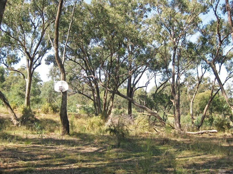 272  Courtney Lane, Knowsley VIC 3523