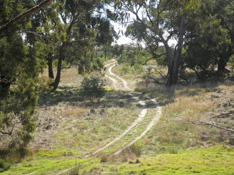 272  Courtney Lane, Knowsley VIC 3523