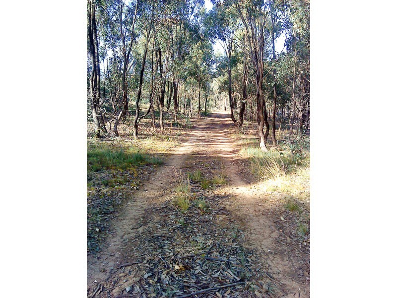 272  Courtney Lane, Knowsley VIC 3523