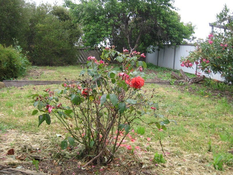 6 Coolbunna Close, Golden Square VIC 3555