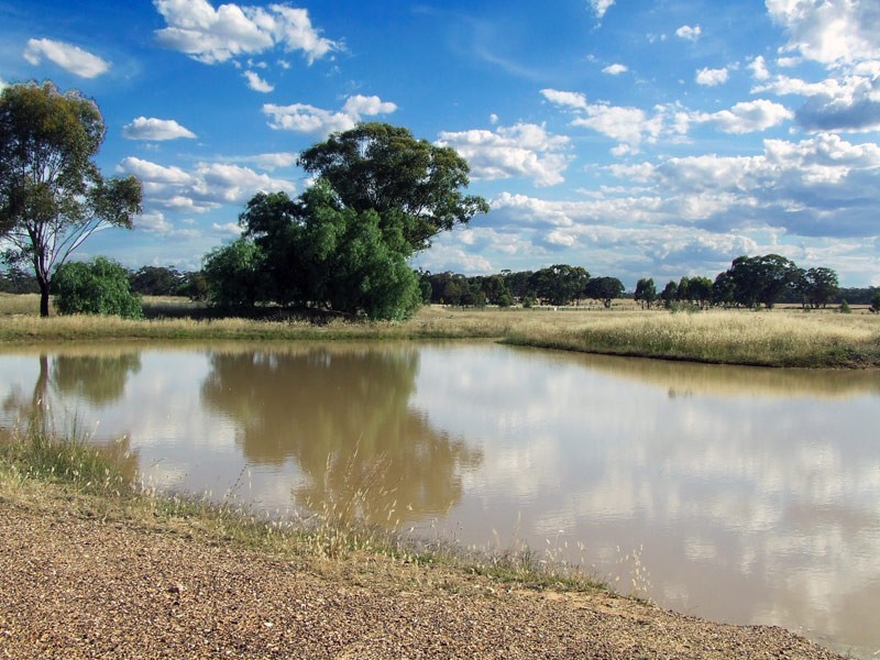 Lot 1 Maryborough-Dunolly Road, Maryborough VIC 3465