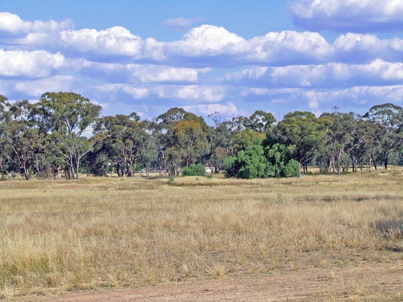 Lot 1 Maryborough-Dunolly Road, Maryborough VIC 3465