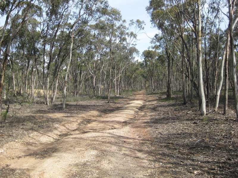 117 Native Gully Crescent, Strathfieldsaye VIC 3551