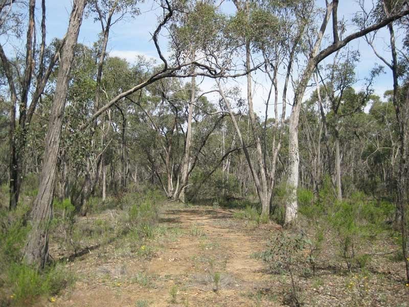117 Native Gully Crescent, Strathfieldsaye VIC 3551