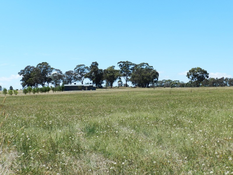 1614 McIvor Highway, Longlea VIC 3551