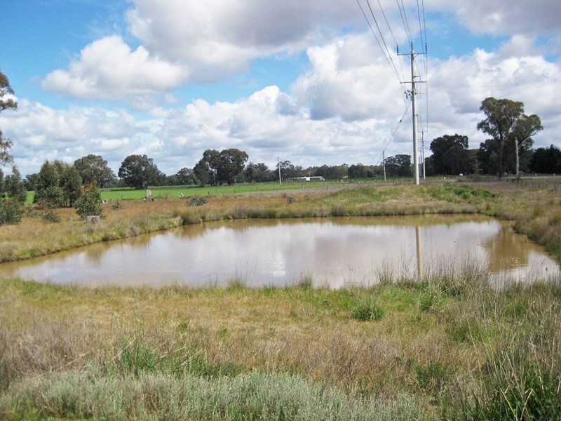 1614 McIvor Highway, Longlea VIC 3551