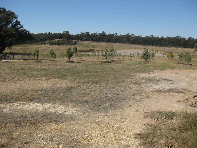 260 Patons Road, Axe Creek VIC 3551