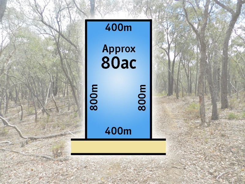 Strathfieldsaye VIC 3551