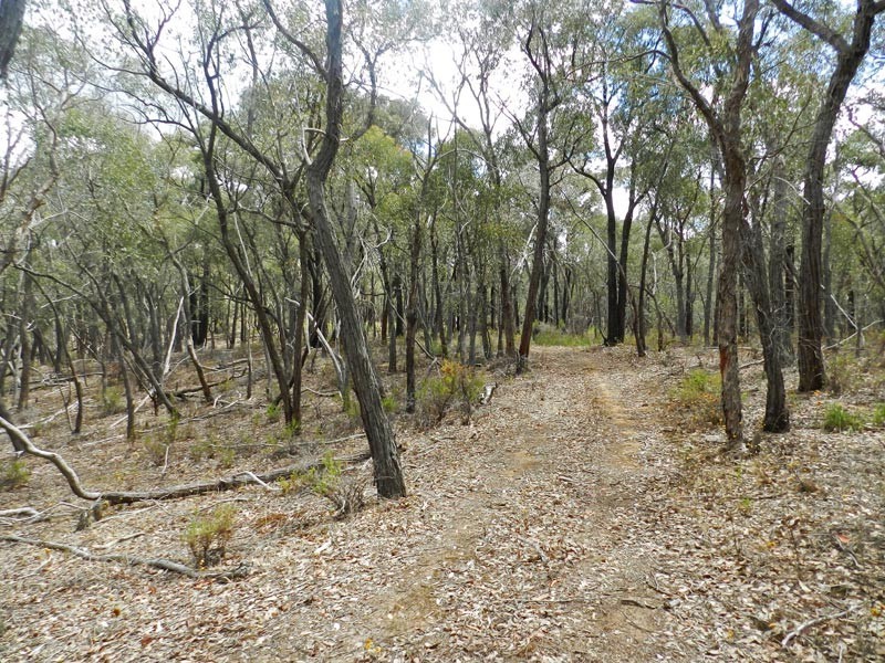 Strathfieldsaye VIC 3551