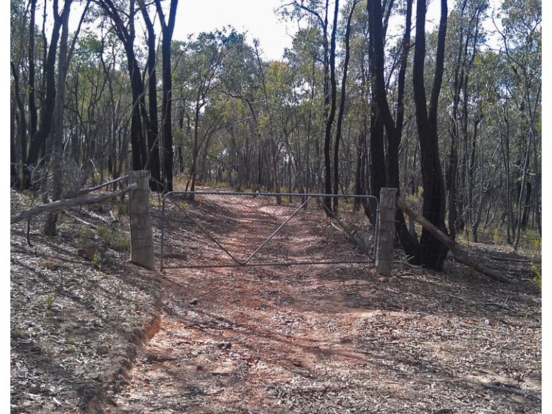 Strathfieldsaye VIC 3551