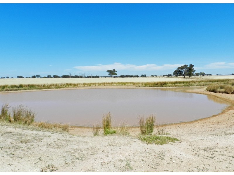 Bridgewater VIC 3516