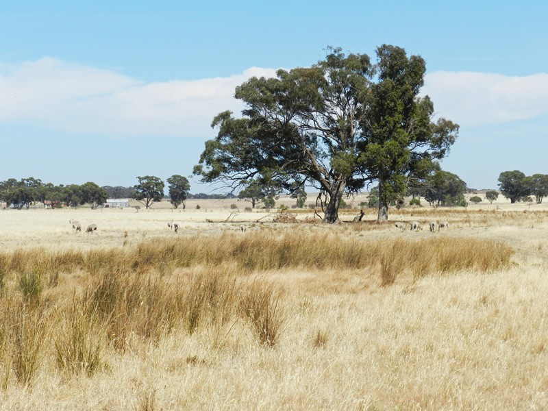 Bridgewater VIC 3516