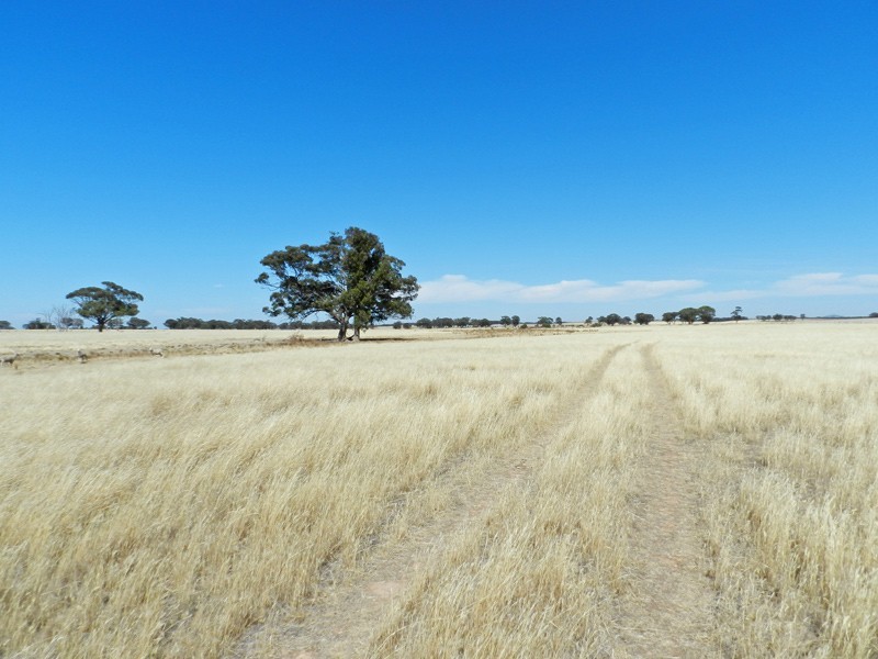 Bridgewater VIC 3516