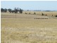 Cnr Pyrenees Highway and Bald Hill Road, Carisbrook VIC 3464