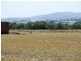 Cnr Pyrenees Highway and Bald Hill Road, Carisbrook VIC 3464