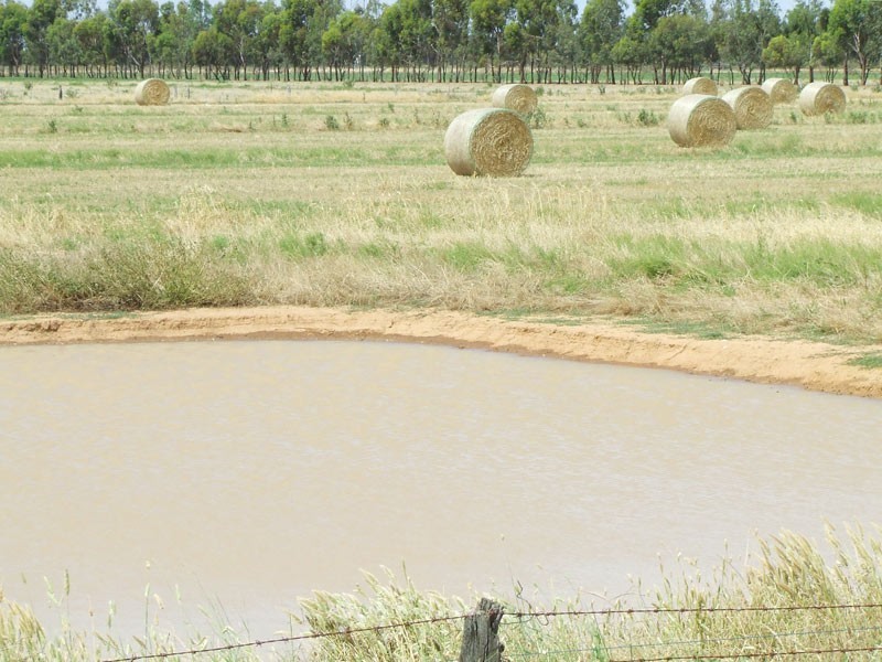 713 Pyramid – Yarraberb Road, Calivil VIC 3573