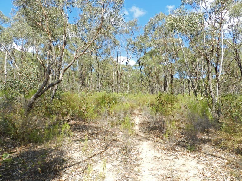 Lot 14 Bill Mollison Drive, Axedale VIC 3551