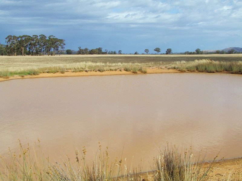 885 Scent Farm Road, Dunolly VIC 3472