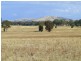 885 Scent Farm Road, Dunolly VIC 3472