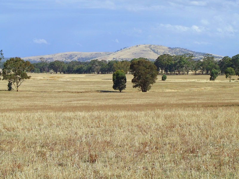 885 Scent Farm Road, Dunolly VIC 3472