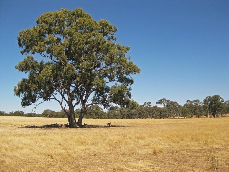 51 Bradford Road, Lockwood VIC 3551