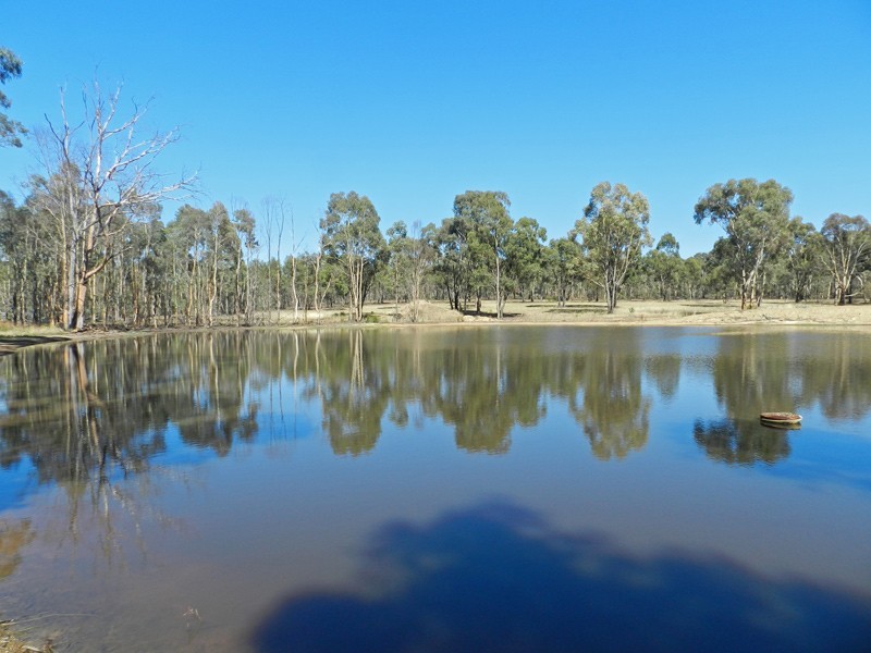 1967 Strathfieldsaye Road, Strathfieldsaye VIC 3551