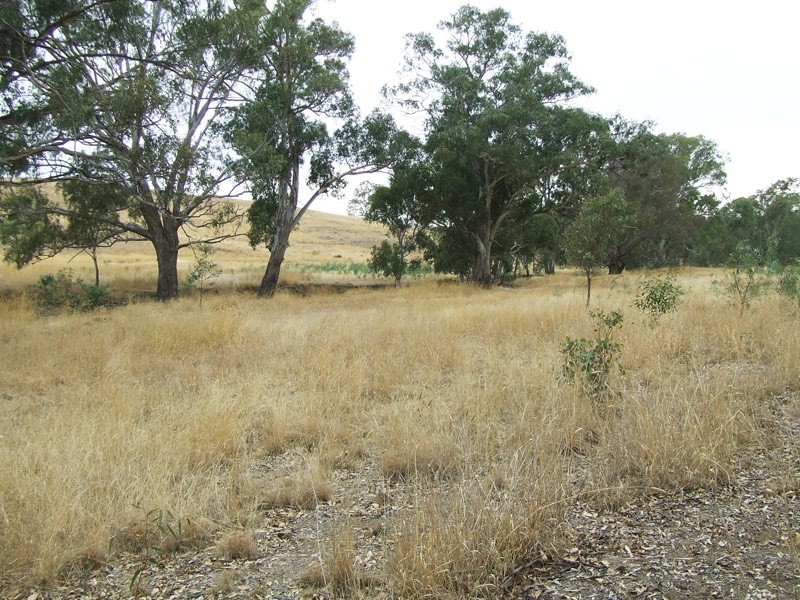 CA Z4 Heathcote-Kyneton Road, Heathcote VIC 3523