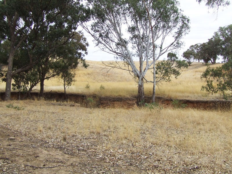 CA Z4 Heathcote-Kyneton Road, Heathcote VIC 3523