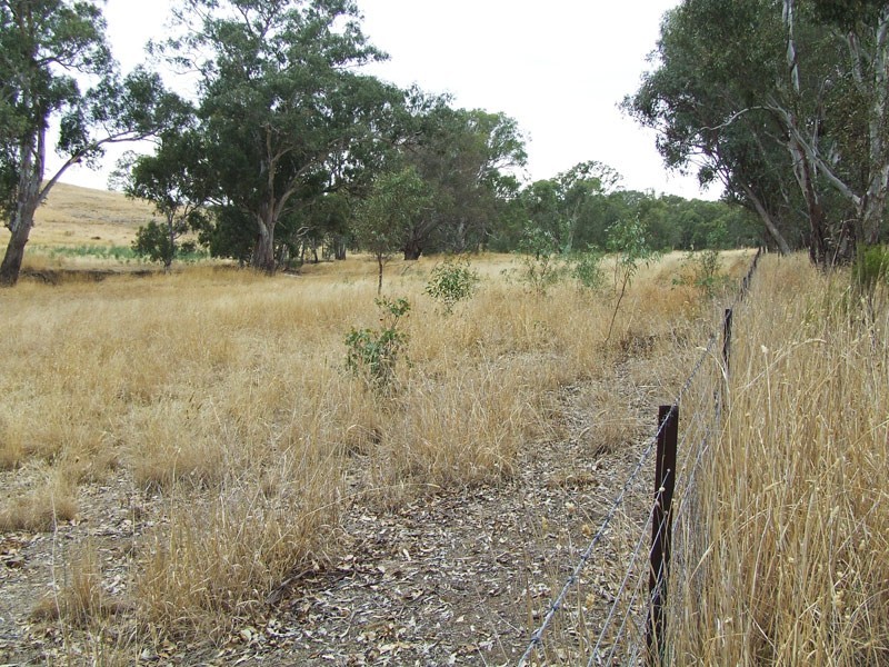 CA Z4 Heathcote-Kyneton Road, Heathcote VIC 3523