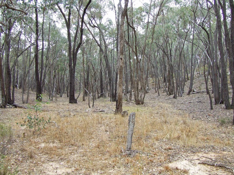 Lot 8 Hargreaves Road (off James Cook Drive), Strathfieldsaye VIC 3551