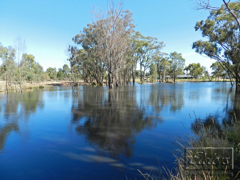 29 Sunrise Drive, Marong VIC 3515