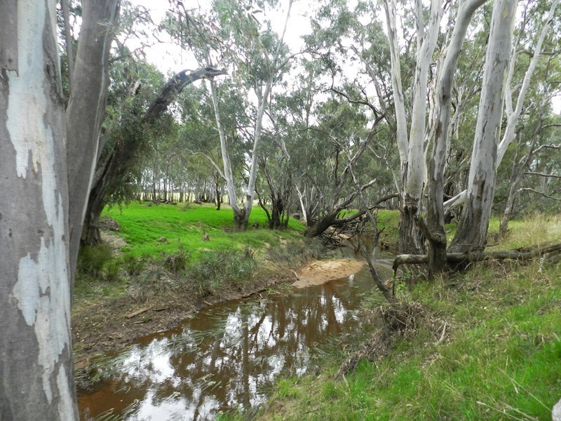 Lot 11 Paddys Lane, Longlea VIC 3551