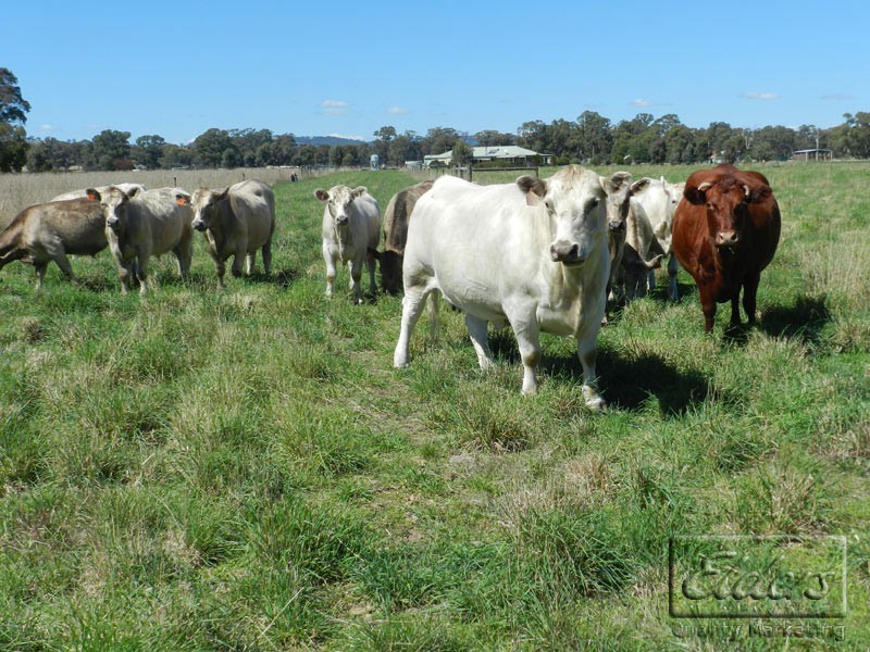 57 Davies Road, Walmer VIC 3463